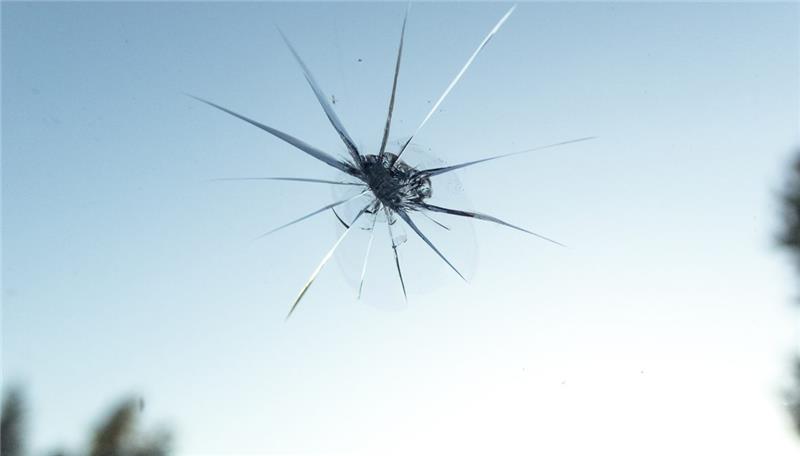 Stone Chip System ROI Calculator